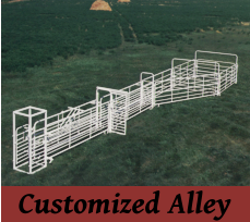 Customized Alley