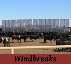 Windbreaks